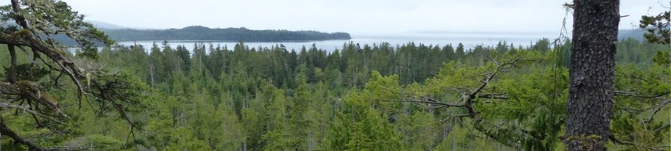 28685048_1849528641732290_6355924524687131195_n-1 a man in a forest