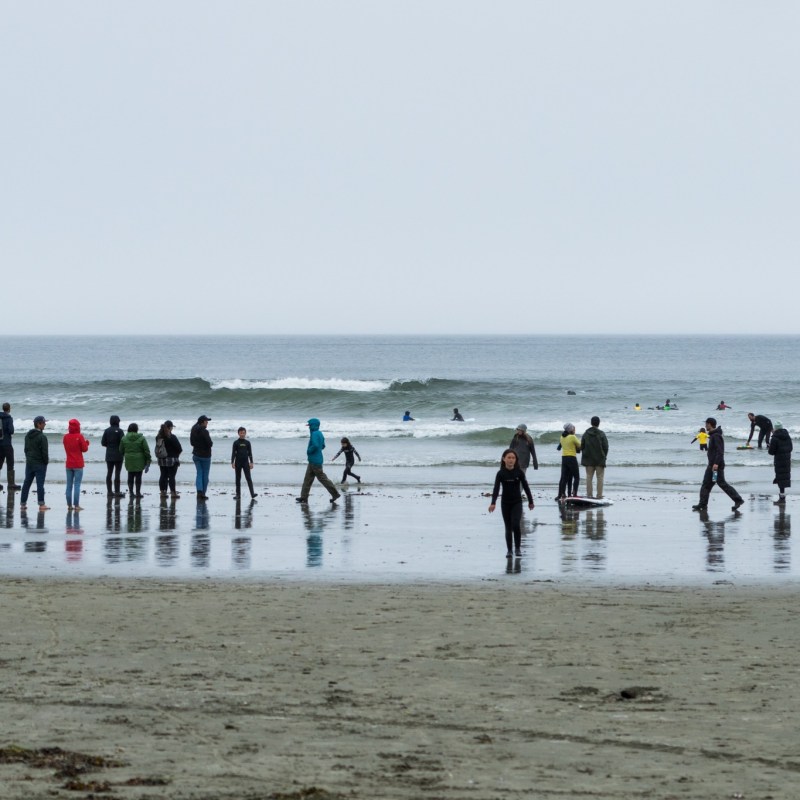 a group of people walking on a beach