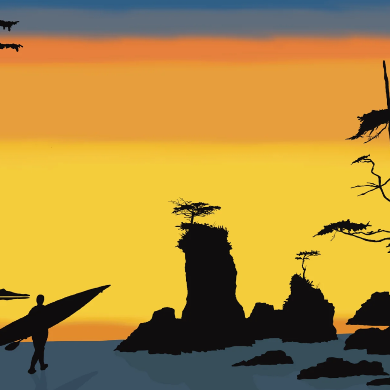 a flock of birds sitting on top of a sunset