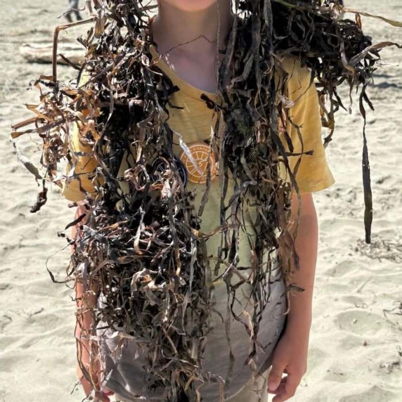 Child on beach covered with seaweed, smiling under sunny sky.