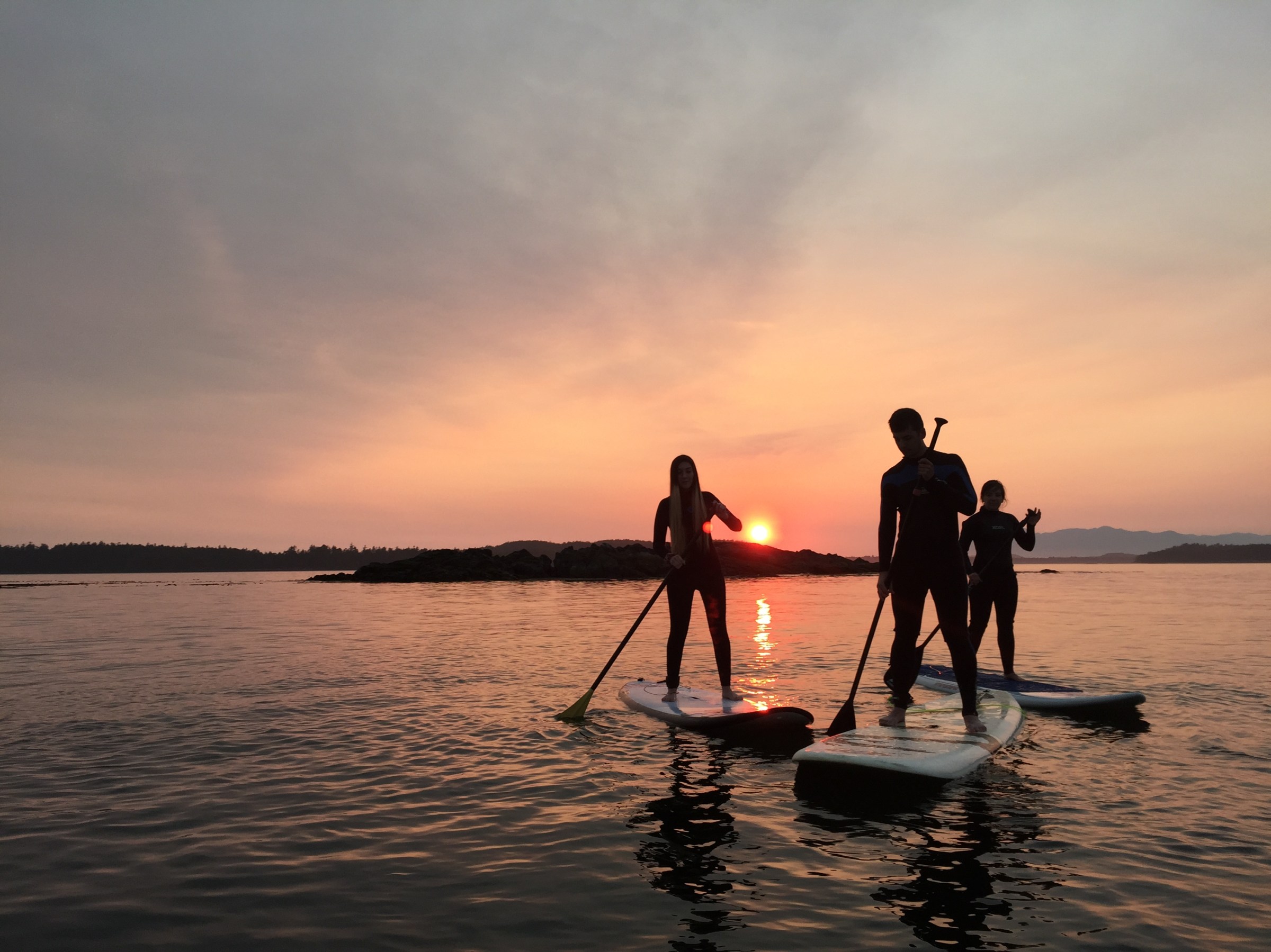 Three people paddleboarding at sunset on calm water.