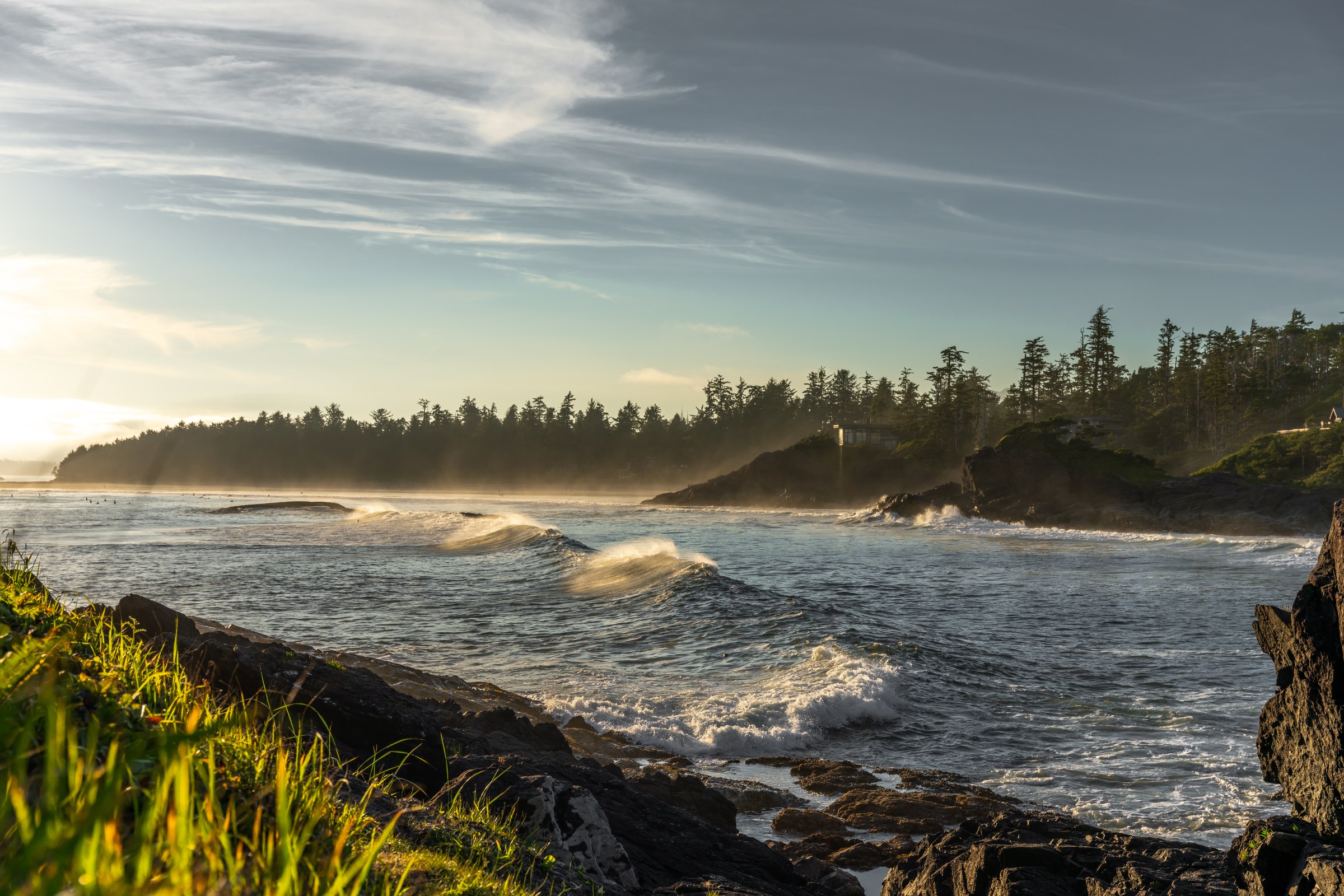Coastal landscape with rocky shoreline, trees, and waves.